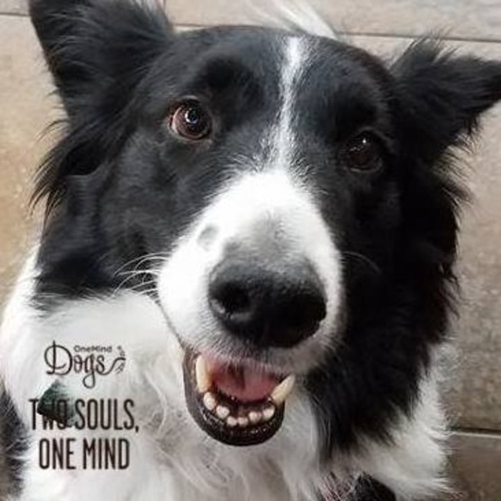 Meet your Posher, Vicki